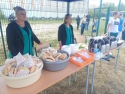 foto_010