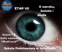 byc_jak_ignacy_wzrok_swiatlo_i_zludzenie_optyczne