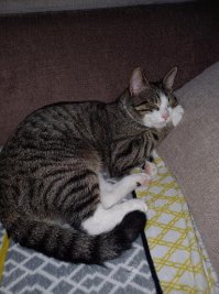 foto_001
