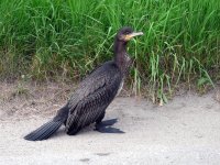 wyroznienie_marty_lech_001