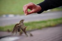 konkurs_radosc_zycia_001