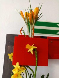 foto_001