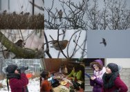 ptakoliczenie_2015_001