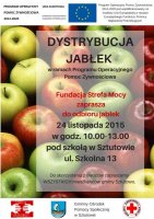 dystrybucja_jablek_001