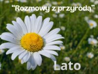 foto_001