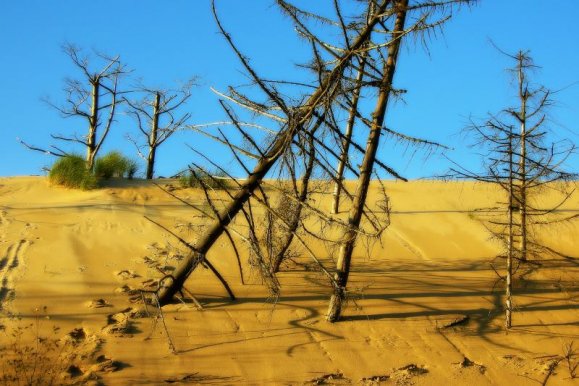 wiktoria_laczynska_001