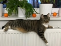 foto_001
