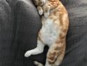foto_004