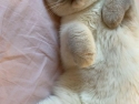 foto_019