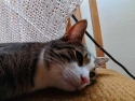 foto_028
