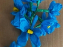 foto_003