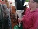foto_017