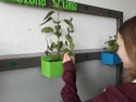 foto_006