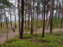foto_036