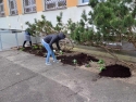 foto_005