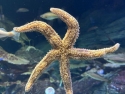 foto_003