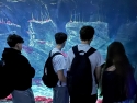 foto_007