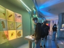 foto_002