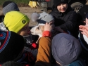 foto_003
