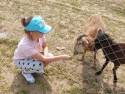 foto_016