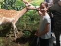 foto_002