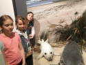 foto_003