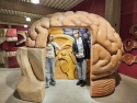 foto_006