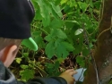 foto_002