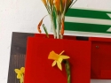 foto_001