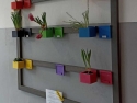 foto_002