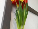 foto_003