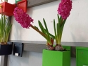 foto_004