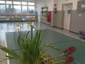foto_005