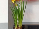 foto_007