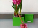foto_011
